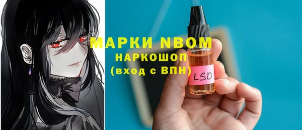 индика Бронницы