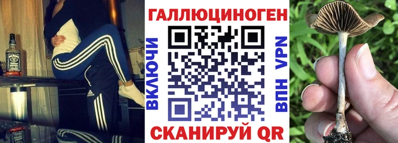 Псилоцибиновые грибы Cubensis  Миньяр 